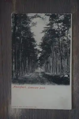 Amersfoort Lockhorster bosch Wysoka jakość