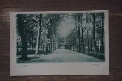 Tani Alkmaar De Hout