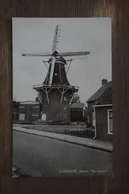 Popularny Oldehove Molen de Leeuw