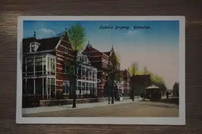 Najlepsza cena Rotterdam Eudokia Bergweg