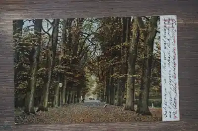 Haarlem Kleine Houtweg Autentyczny