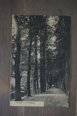 De Bilt Vischsteeg Najlepsza cena