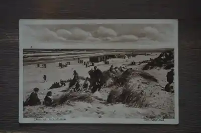Ekspresowa dostawa Ameland-Nes Duin en Strandleven