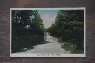 Ameland-Nes Boschlaan Najlepsza cena
