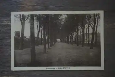 Promocja Maassluis Stationsweg