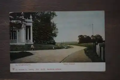 Bloemendaal Koepel Wildhoef Wysoka jakość