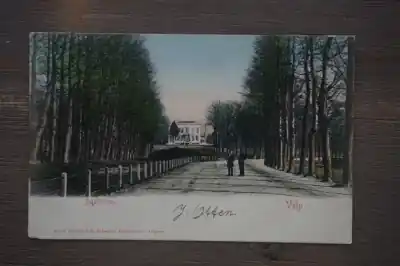 Tani Velp Daalhuizen