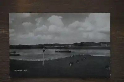 Promocja Renkum Rijn