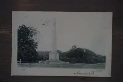 Soestdijk Naald Wysoka jakość