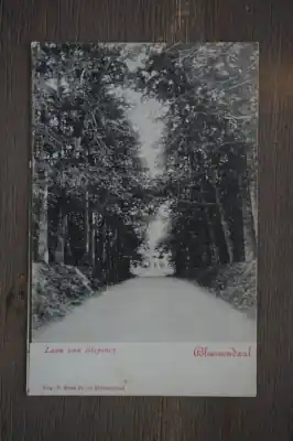 Bloemendaal Laan van Bispinck Tani