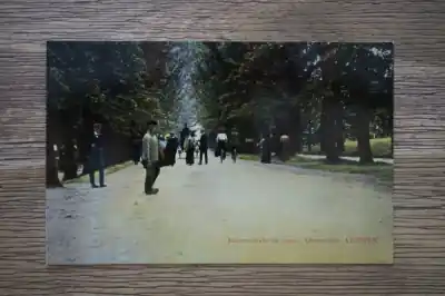 Arnhem Roozendaalsche laan Najlepsza cena