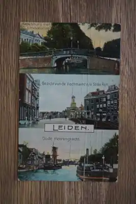 Szybka dostawa Leiden