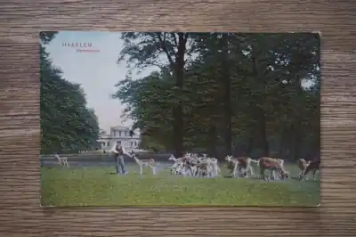 Haarlem Hertenkamp Oferta