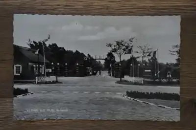 Popularny Alphen aan de Rijn Avifauna