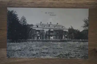 De Steeg Rhederoord Najlepsza cena