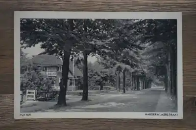 Ekspresowa dostawa Putten Harderwijkerstraat