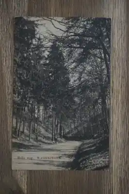 Oryginalny Wageningen Holleweg