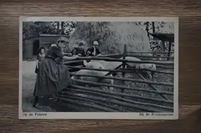 Zwrot pieniędzy Op de Veluwe bij de Krulstaarten