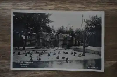 Rhenen Ouwehand's Dierenpark Zamów teraz