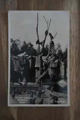 Rabat Rhenen Ouwehand's Dierenpark