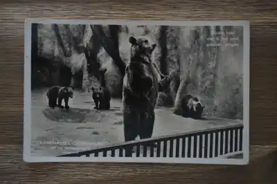 Rhenen Ouwehand's Dierenpark Najlepsza cena