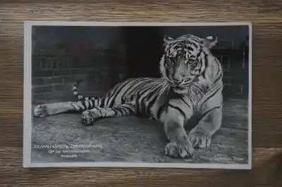 Rhenen Ouwehand's Dierenpark Tylko dziś