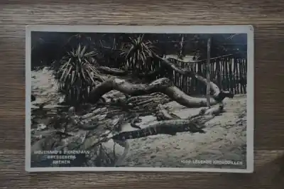 Rhenen Ouwehand's Dierenpark Oferta