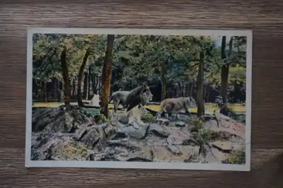 Oryginalny Rhenen Ouwehand's Dierenpark