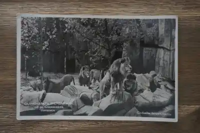 Zamów teraz Rhenen Ouwehand's Dierenpark