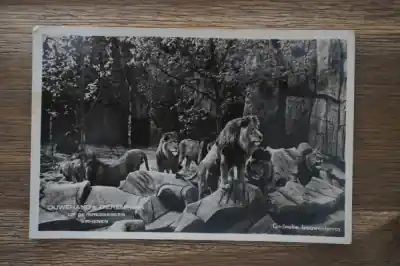 Rhenen Ouwehand's Dierenpark Wyprzedaż