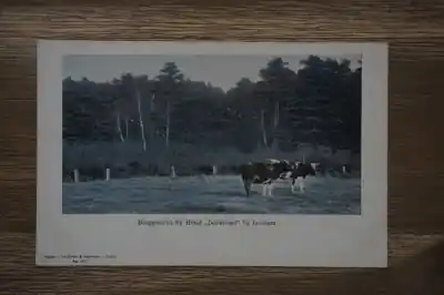 Szybka dostawa Lochem Berggezicht bij Hotel Dollehoed