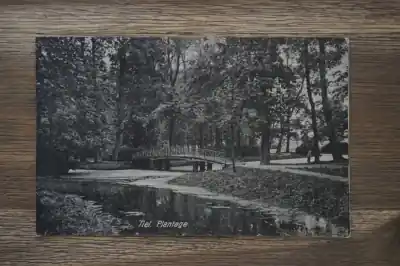 Wyprzedaż Tiel Plantage