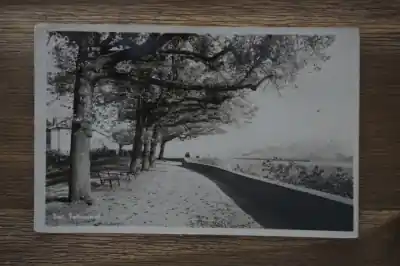 Tiel Tolhuiswal Zwrot pieniędzy