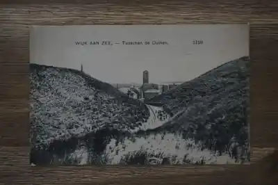 Wijk aan zee Tussen de duinen Popularny