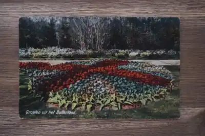 Oferta Groeten uit het Bollenland