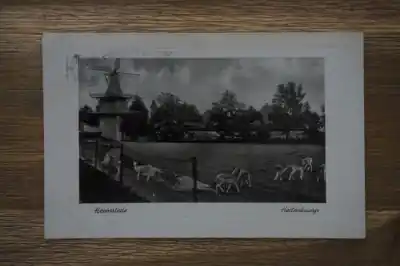 Heemstede Hertenkamp Tani