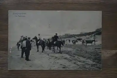 Zandvoort Het paardrijden Oferta