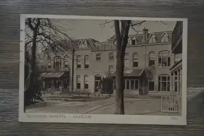 Popularny Haarlem Bethedsa Sarepta