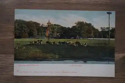 Oferta limitowana Bloemendaal In Duin en Daal