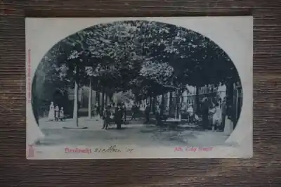 Dordrecht Alb. Cuip singel Kup teraz