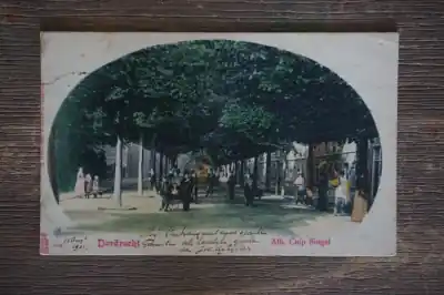 Dordrecht Alb. Cuip singel Popularny