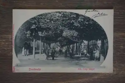 Tani Dordrecht Alb. Cuip singel