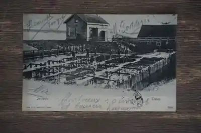 Tholen Oesterput Najlepsza cena