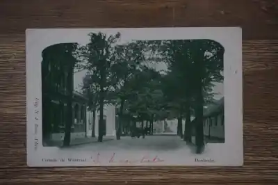 Dordrecht Cornelis de Witstraat Promocja