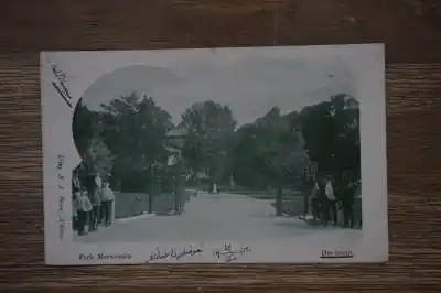 Dordrecht Park Merwestein Kup teraz