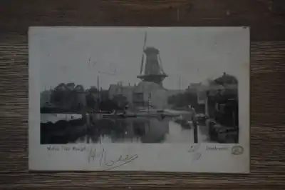 Tani Dordrecht Molen de Maagd