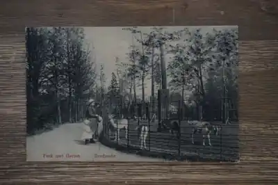 Bezpieczna płatność Dordrecht Park met herten