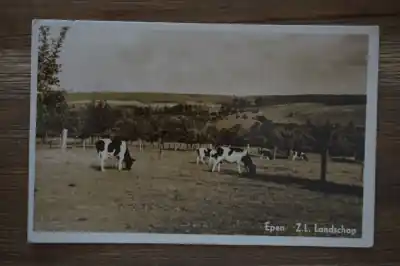 Epen Landschap Premium