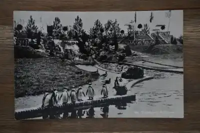 Zwrot pieniędzy Alphen aan de Rijn Avifauna