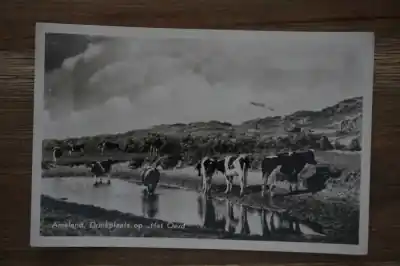 Ameland Drinkplaats op Het Oerd Zwrot pieniędzy